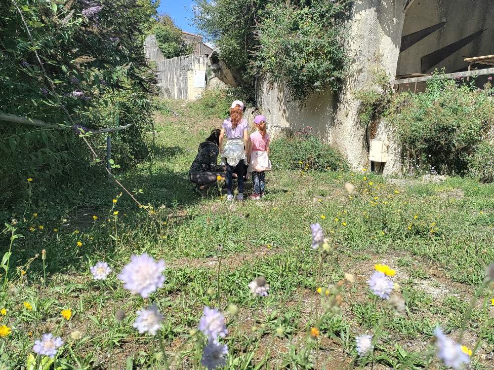 Association ODDEEESS - Fondation Terre Adelphie